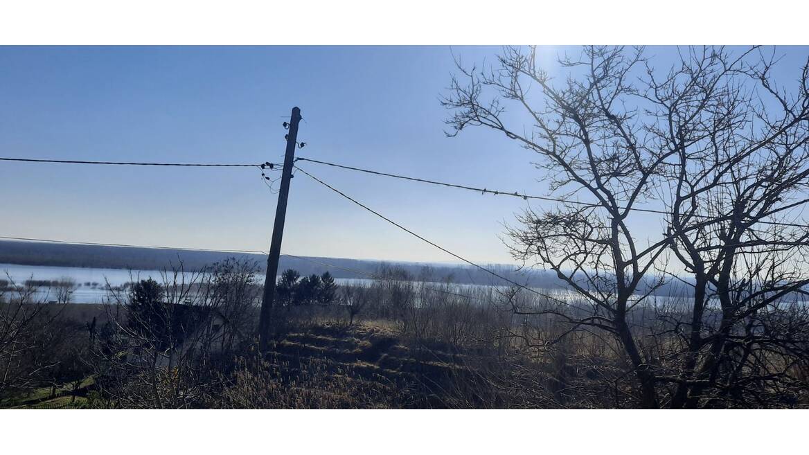 Belegis, Stara Pazova