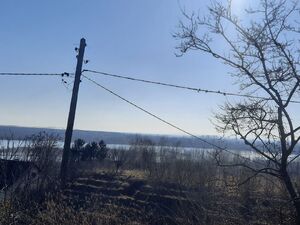 Belegis, Stara Pazova