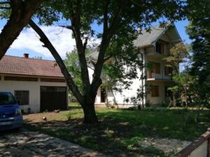 Mladenovac, Beograd