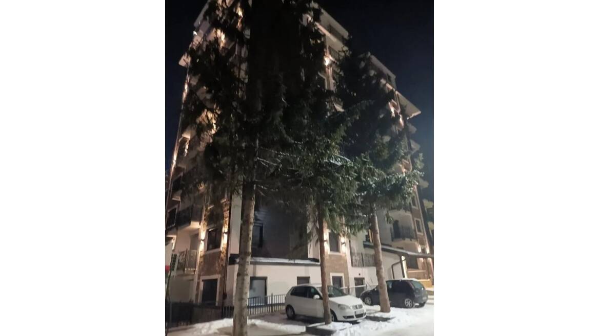 Panta Mijailovica, Čajetina