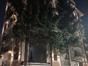 Panta Mijailovica, Čajetina