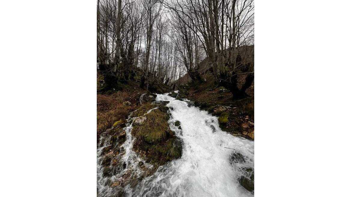 Kolasin, Kolašin