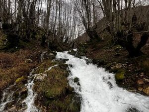 Kolasin, Kolašin