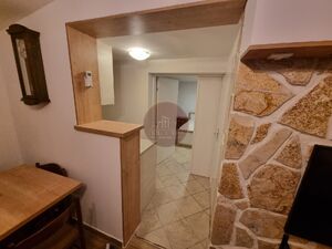 Ulica Ludvika Kube , Podgorica