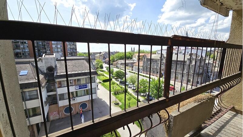 Senoina 3, Subotica