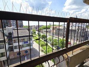 Senoina 3, Subotica