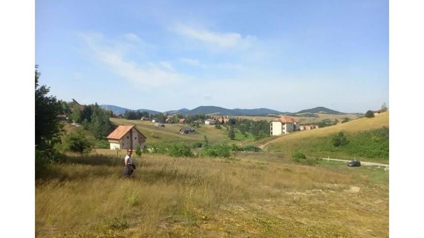 Zova, Čajetina