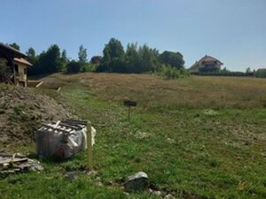 Zova, Čajetina