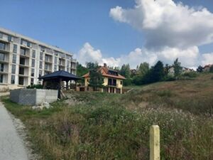 Zova, Čajetina