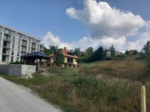 Zova, Čajetina