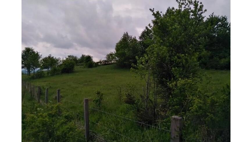 Kremna, Užice