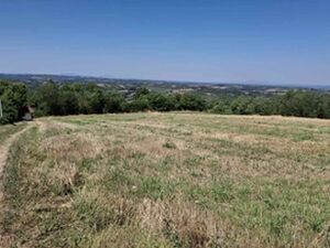 Banicina, Smederevska Palanka