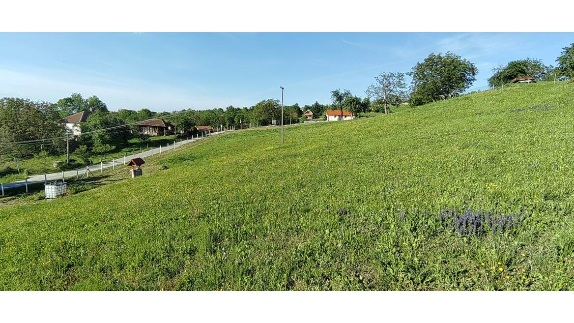Jabucje, Kragujevac