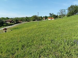 Jabucje, Kragujevac
