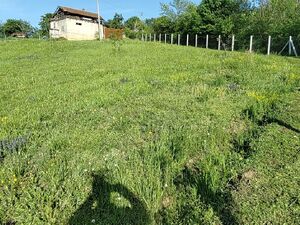 Jabucje, Kragujevac