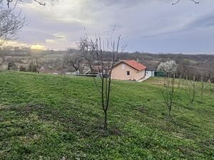 Jabucje, Kragujevac
