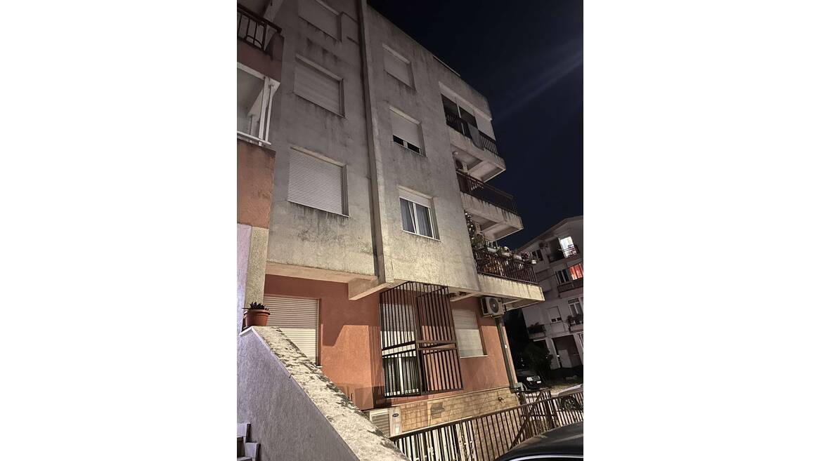 Radoja Domanovića, Podgorica