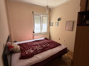 Kraljice Natalije, Beograd