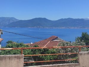 Riblja kost 4, Tivat