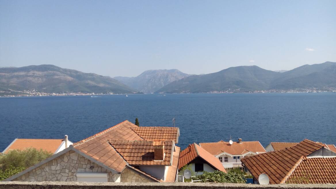 Riblja kost 4, Tivat