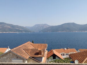 Riblja kost 4, Tivat