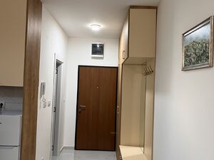 Cetinjski put , Podgorica