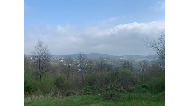 Vlaska, Beograd