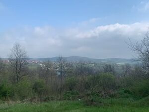 Vlaska, Beograd