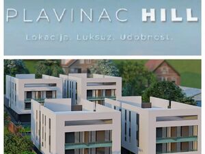 Plavinac Smederevo