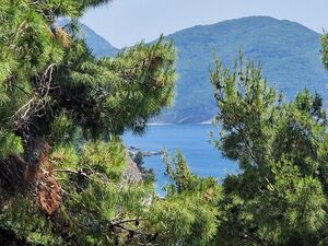 Petrovac, Budva