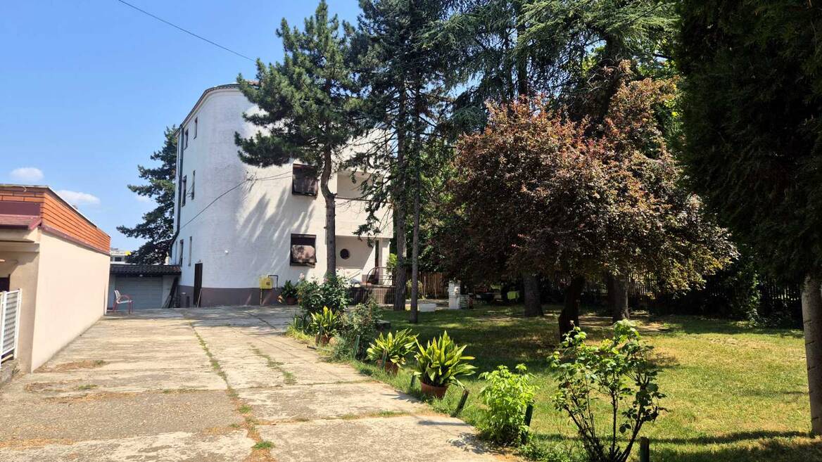 Dr Nedeljka Ercegovca, Beograd