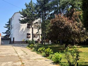 Dr Nedeljka Ercegovca Beograd