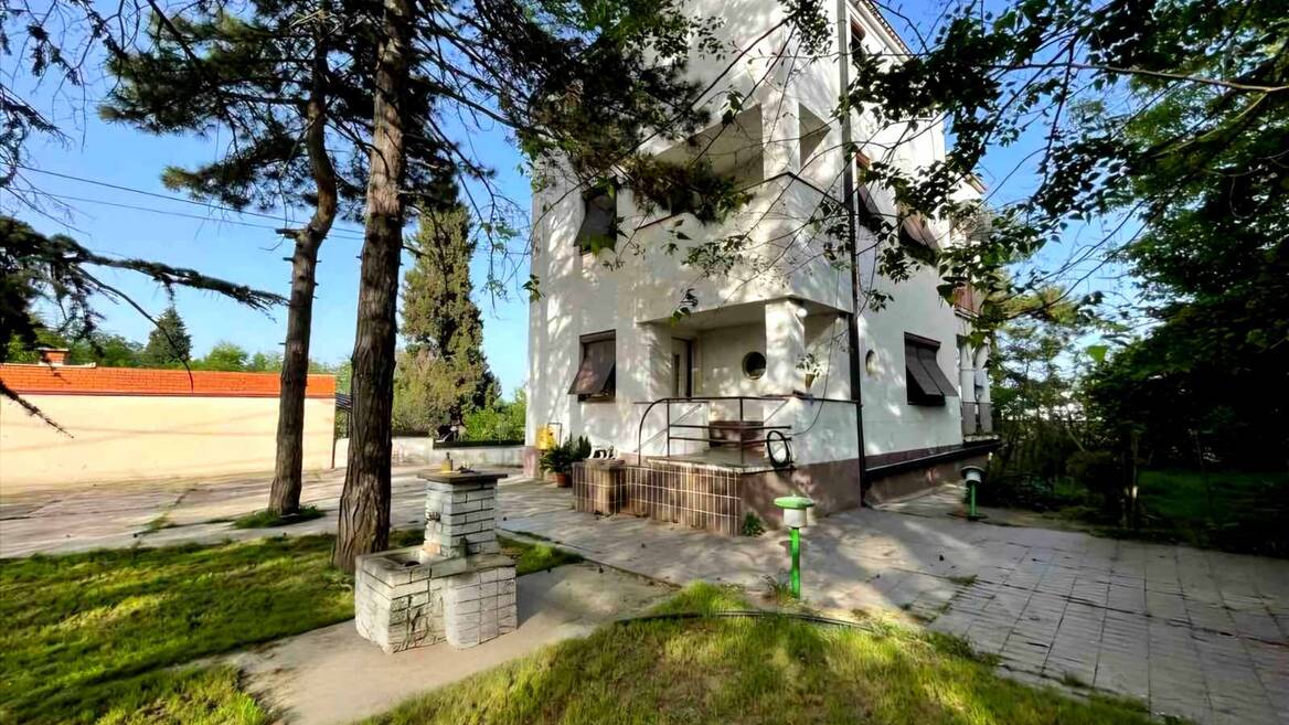 Dr Nedeljka Ercegovca, Beograd