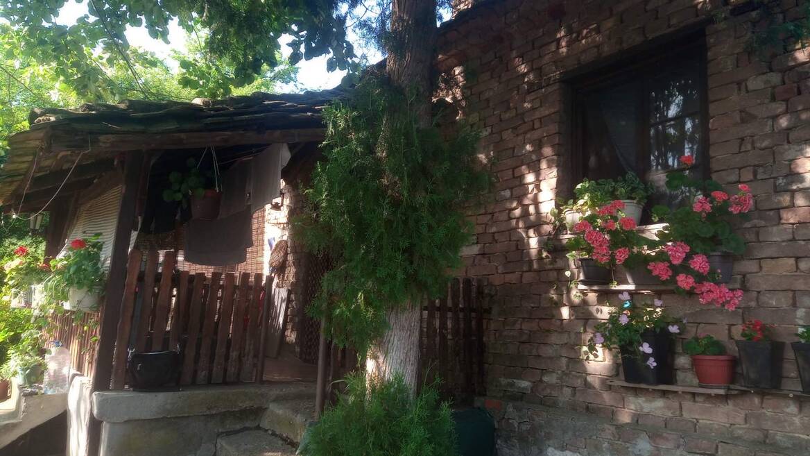 Mala Mostanica, Beograd