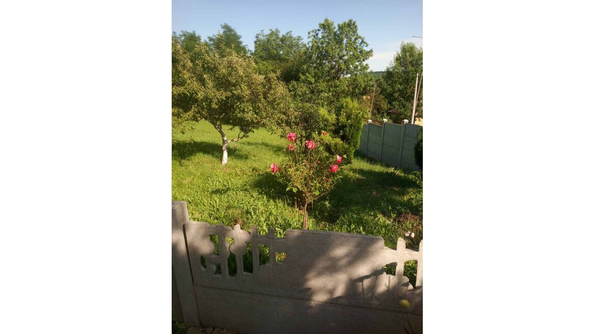 Mala Mostanica, Beograd