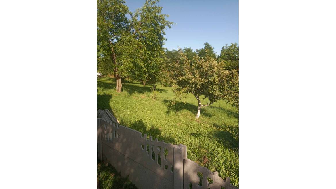 Mala Mostanica, Beograd