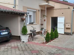 Petra Kocica, Sremska Mitrovica