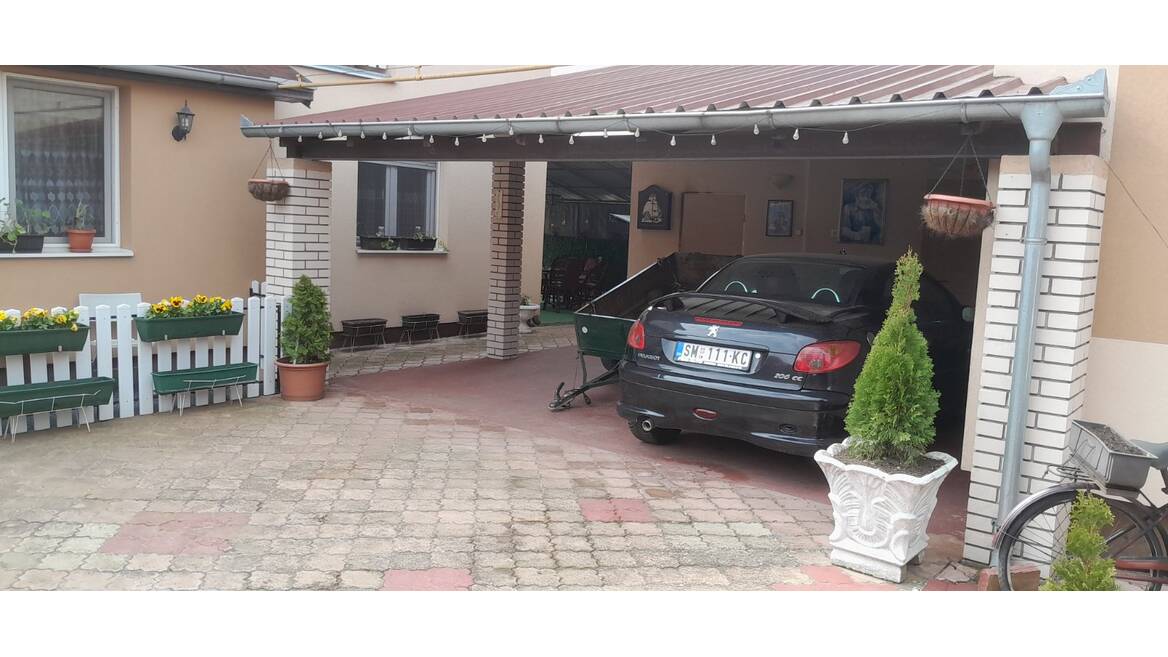 Petra Kocica, Sremska Mitrovica