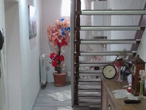Petra Kocica, Sremska Mitrovica