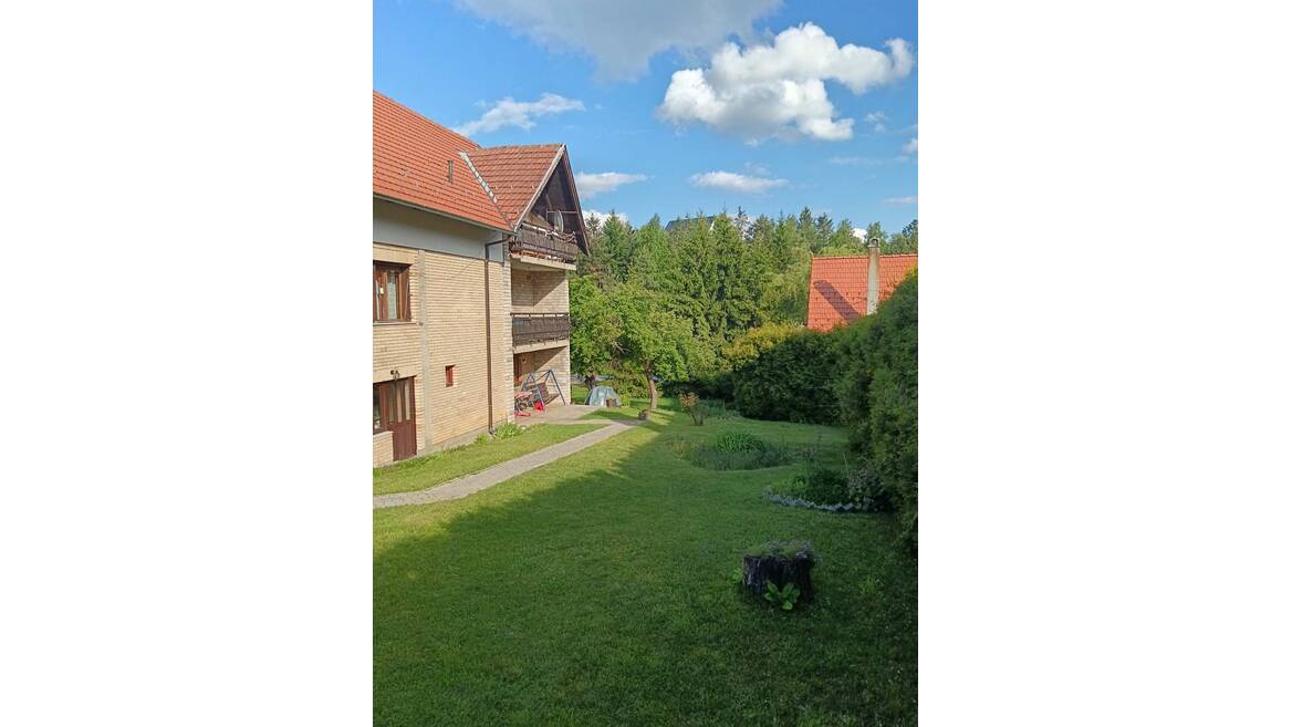 Mijaila Radovica, Čajetina