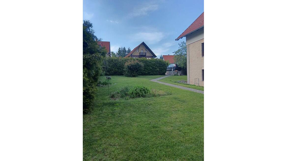 Mijaila Radovica, Čajetina