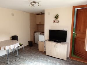 Mijaila Radovica, Čajetina