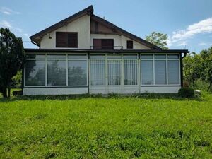 Mislodjin, Beograd