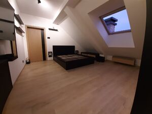 Laze Kostica, Novi Sad
