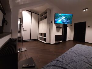 Laze Kostica, Novi Sad