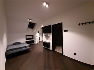 Laze Kostica, Novi Sad