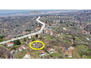Popovica, Novi Sad