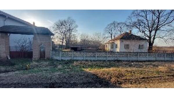 Lipe, Smederevo