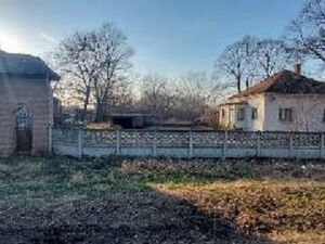 Lipe Smederevo