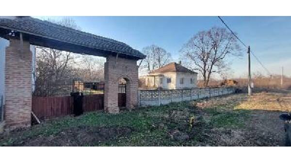 Lipe, Smederevo